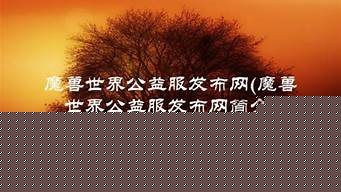 dnf公益服论坛：公益服发布网(问道sf公益服发布网)