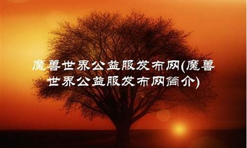公益服发布网(剑灵公益服发布网) (3)